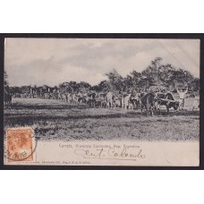 CORRIENTES ANTIGUA TARJETA POSTAL CARRETAS DE TRANSPORTE VIDA DE CAMPO